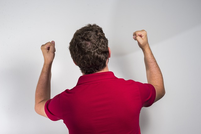 象也十分正 象也十分正